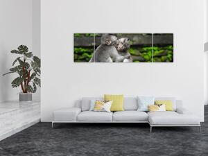 Obraz - małpki (170x50 cm)