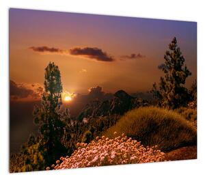 Obraz natury z zachodem słońca (70x50 cm)