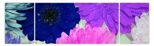 Obraz kolorowych kwiatów (170x50 cm)