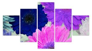 Obraz kolorowych kwiatów (125x70 cm)