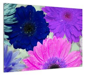 Obraz kolorowych kwiatów (70x50 cm)
