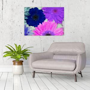 Obraz kolorowych kwiatów (70x50 cm)