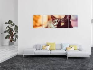 Obraz czarnego kota (170x50 cm)