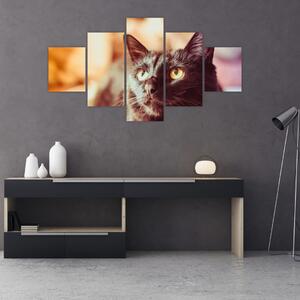 Obraz czarnego kota (125x70 cm)