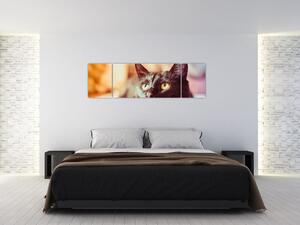 Obraz czarnego kota (170x50 cm)