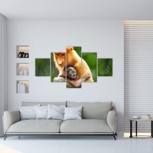 Obraz małp (125x70 cm)