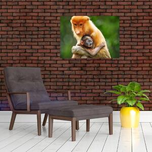 Obraz małp (70x50 cm)