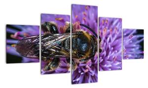 Obraz pszczoły na kwiatku (125x70 cm)