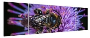 Obraz pszczoły na kwiatku (170x50 cm)