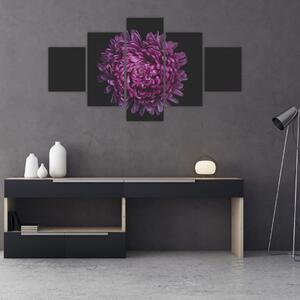 Obraz fioletowego kwiatu (125x70 cm)
