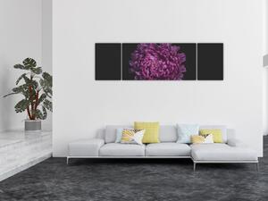 Obraz fioletowego kwiatu (170x50 cm)