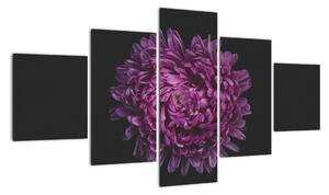 Obraz fioletowego kwiatu (125x70 cm)