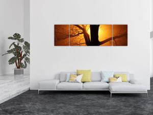 Obraz drzewa o zachodzie słońca (170x50 cm)