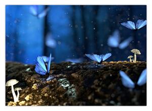 Obraz niebieskich motyli (70x50 cm)