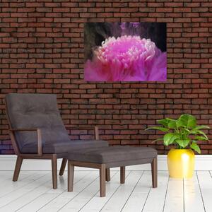 Obraz kwiatu w różowym dymie (70x50 cm)