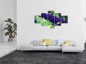 Obraz niebieskiego kwiatu (125x70 cm)