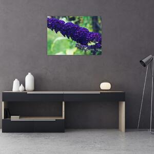 Obraz niebieskiego kwiatu (70x50 cm)