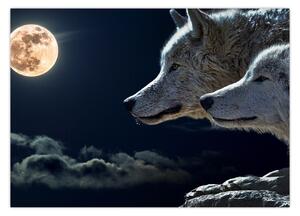 Obraz wilków wyjących do księżyca (70x50 cm)