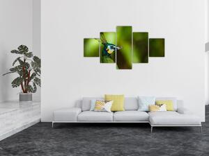 Obraz pawia (125x70 cm)
