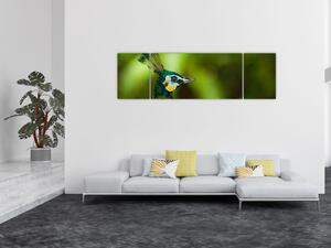 Obraz pawia (170x50 cm)