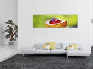 Obraz kasztanowów (170x50 cm)