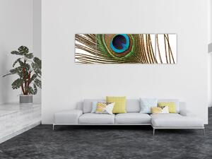 Obraz pawich piór (170x50 cm)