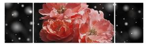 Obraz różowego kwiatu (170x50 cm)