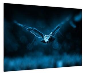 Obraz lecącej sowy (70x50 cm)
