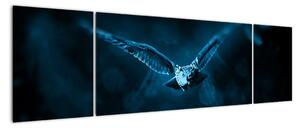 Obraz lecącej sowy (170x50 cm)