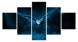 Obraz lecącej sowy (125x70 cm)