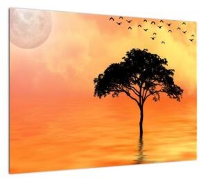 Obraz drzewa o zachodzie słońca (70x50 cm)