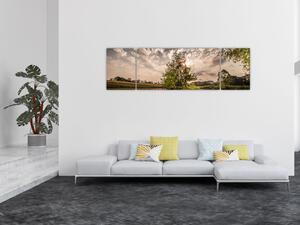 Obraz natury z promieniami (170x50 cm)