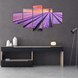 Obraz - farma kwiatów (125x70 cm)