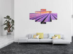 Obraz - farma kwiatów (125x70 cm)