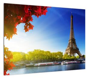 Obraz - jesień w Paryżu (70x50 cm)