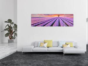 Obraz - farma kwiatów (170x50 cm)