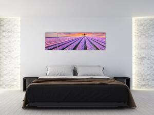 Obraz - farma kwiatów (170x50 cm)
