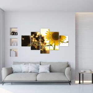 Obraz słonecznika (125x70 cm)