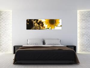 Obraz słonecznika (170x50 cm)
