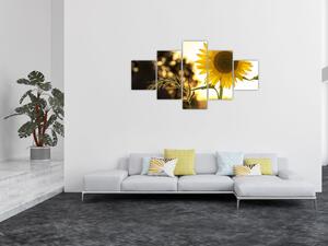 Obraz słonecznika (125x70 cm)
