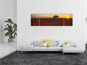 Obraz łąki z makami (170x50 cm)