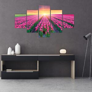Obraz pole tulipanów ze słońcem (125x70 cm)