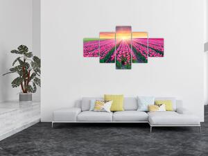 Obraz pole tulipanów ze słońcem (125x70 cm)