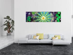 Obraz kaktusa (170x50 cm)