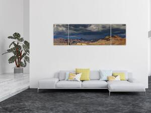 Obraz - kaktusy w przyrodzie (170x50 cm)