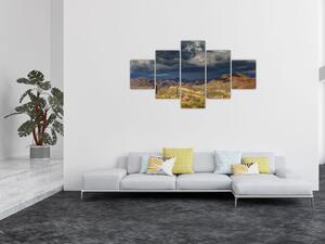 Obraz - kaktusy w przyrodzie (125x70 cm)