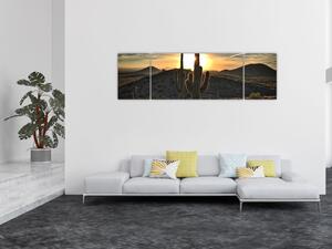 Obraz - kaktusy w słońcu (170x50 cm)