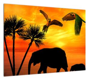 Obraz - papugi i słonie (70x50 cm)
