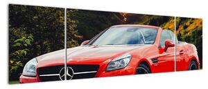 Obraz - czerwony Mercedes (170x50 cm)
