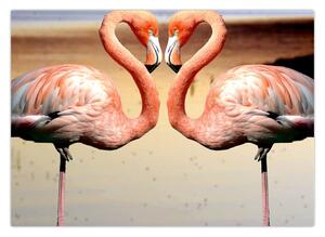 Obraz - dwa flamingi (70x50 cm)